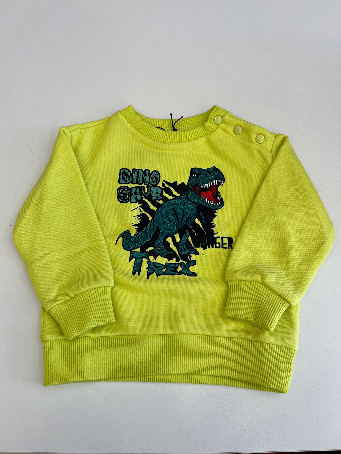 Felpa DANGER DINOSAUR bimbo