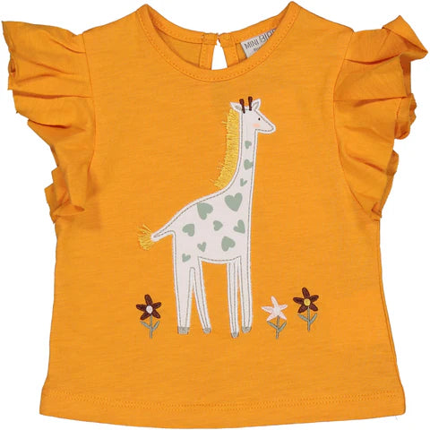 T-shirt disponibile dalla 3 alla 24 mesi