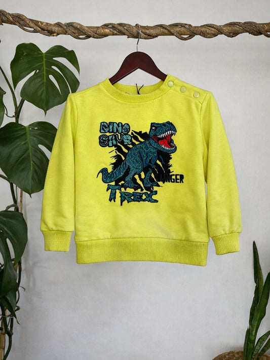 Felpa DANGER DINOSAUR bimbo